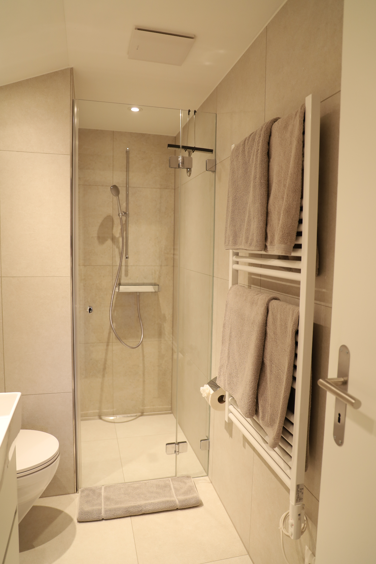 Verzasca Badezimmer mit Glasdusche, WC und Handtuchheizkörper