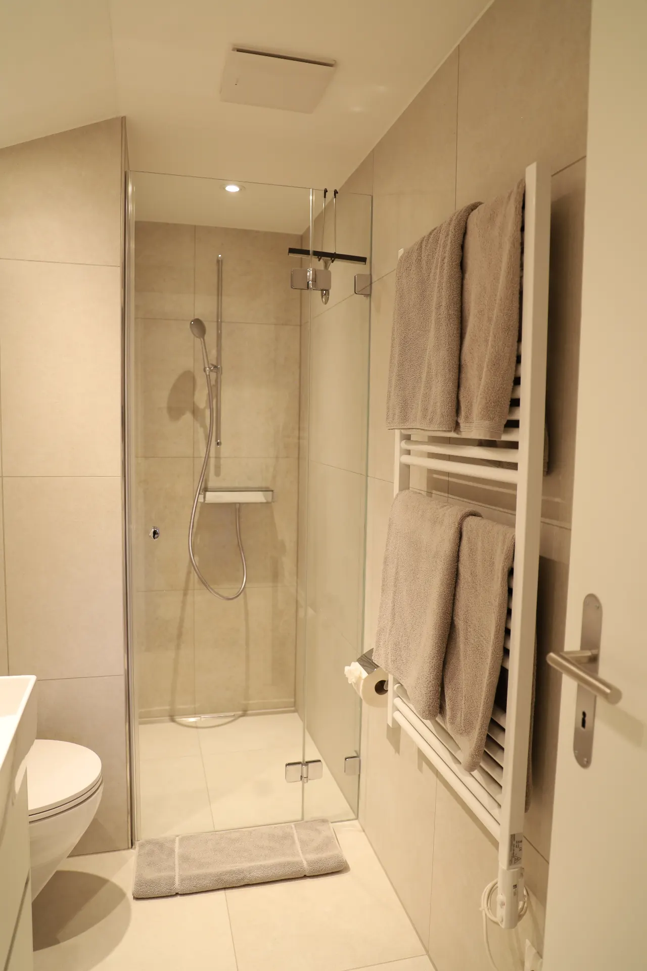 Verzasca Badezimmer mit Glasdusche, WC und Handtuchheizkörper