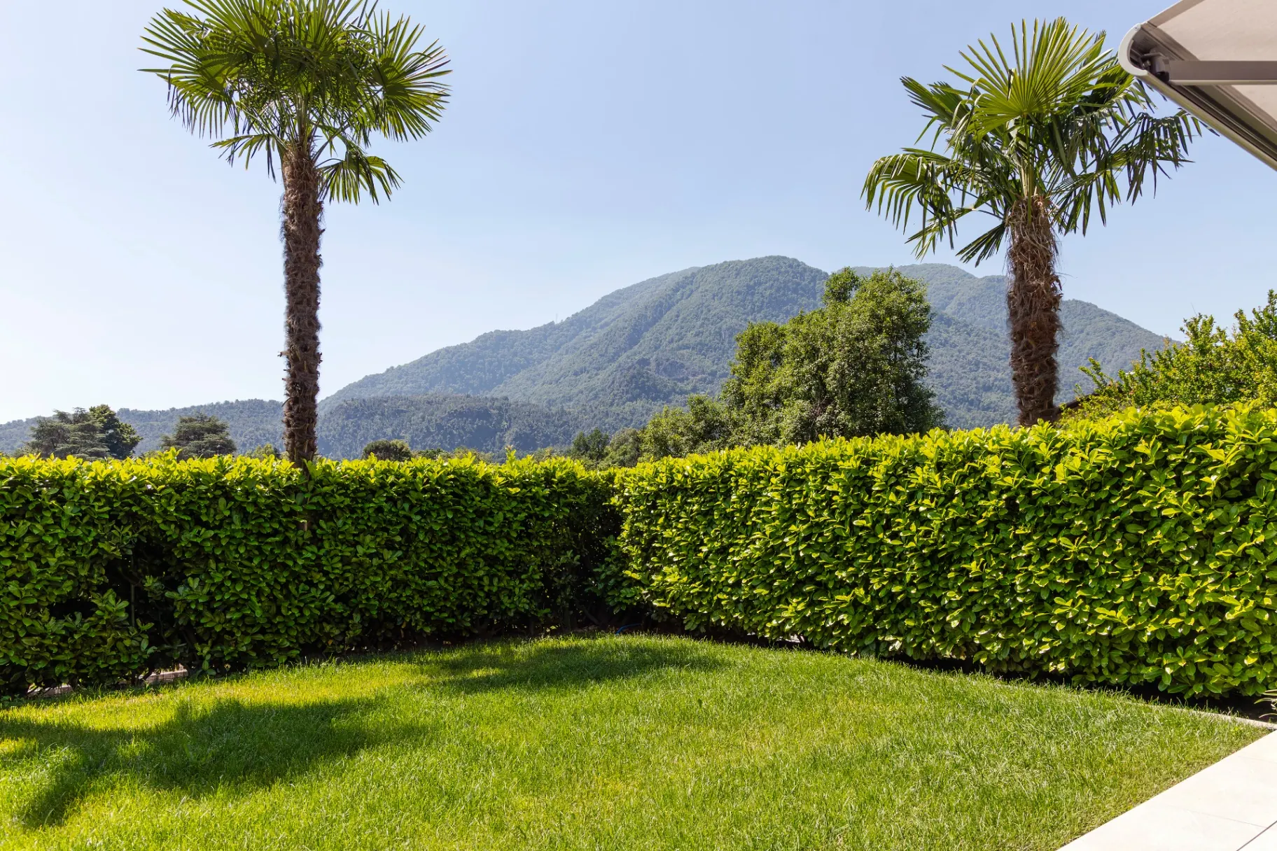 Melezza Gartenblick mit Palmen, Hecke und Tessiner Bergen