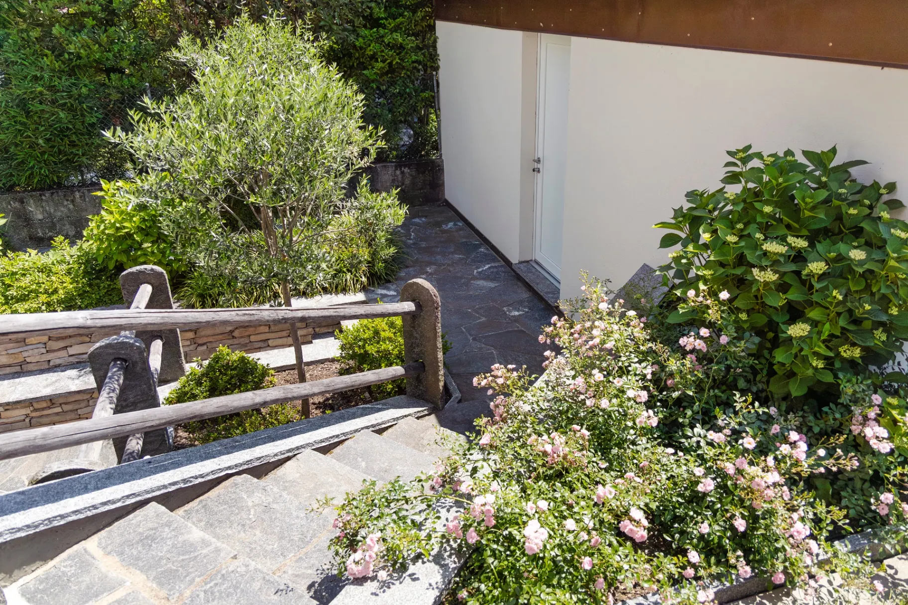 Melezza Garten mit Steintreppe, Olivenbaum und Rosen